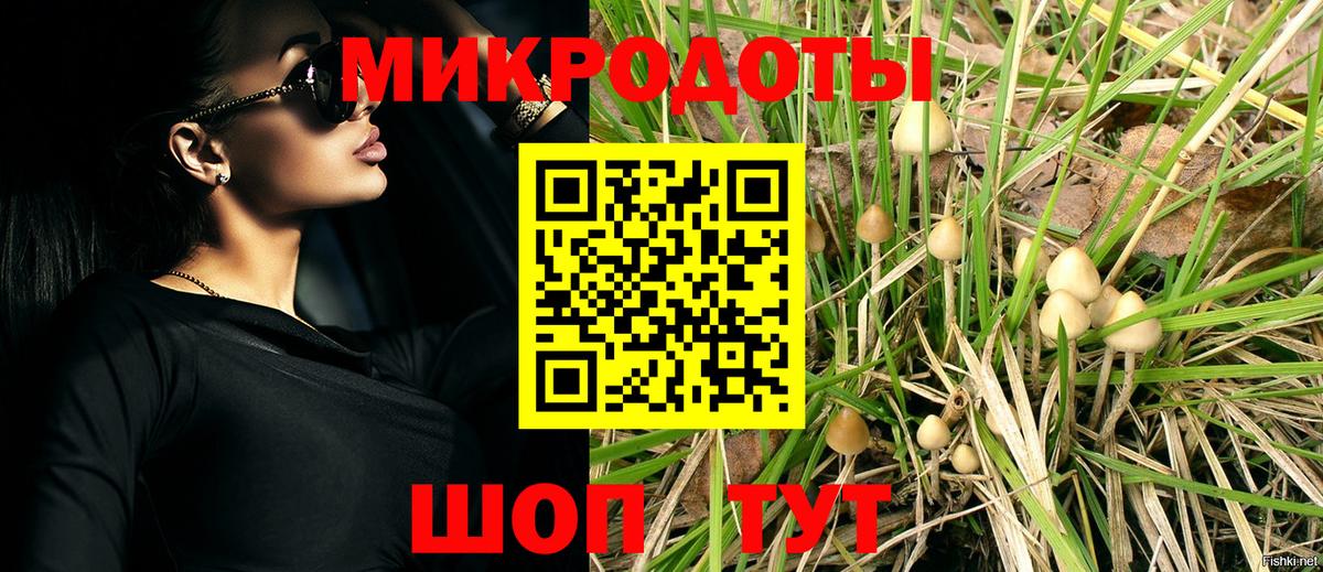 Галлюциногенные грибы GOLDEN TEACHER  наркота  Галлюциногенные грибы Psilocybine cubensis  Елабуга  Вход с VPN 